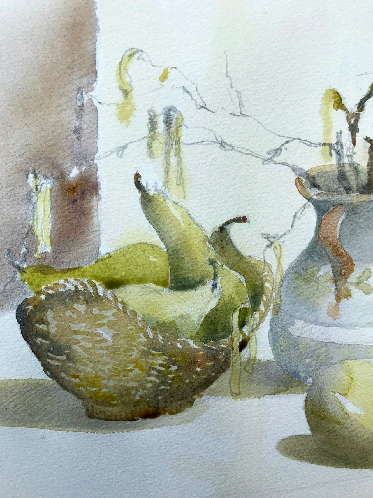 JJ5 Catkins and pears - initial washes. Final painting to follow shortly....