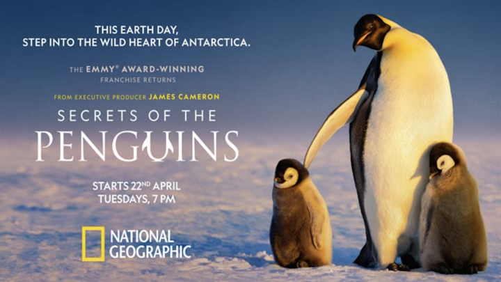 BEN JOINER ASC - Secrets Of the Penguins - Nat Geo