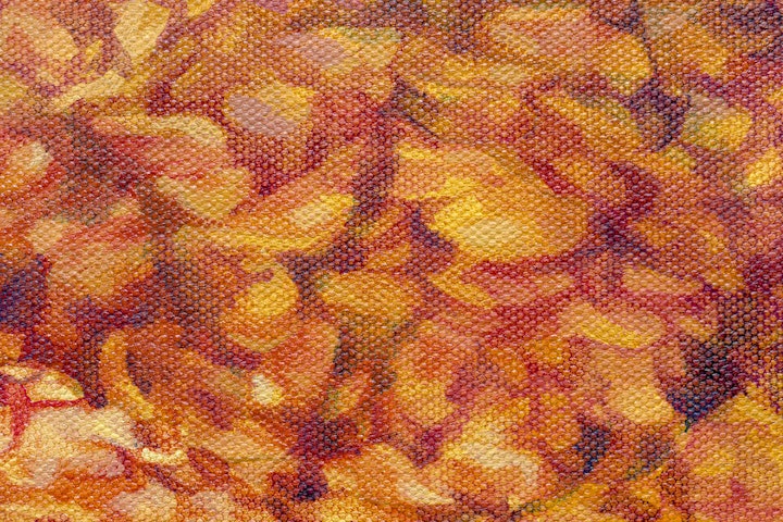 Burst - Burst (detail), Acrylic on Canvas, 30" x 40", 2021