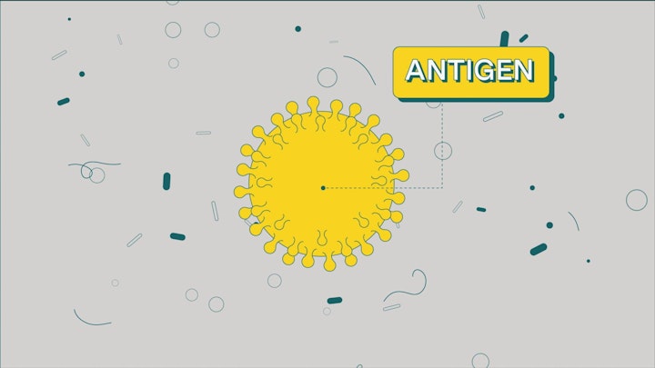 What’s in a vaccine MASTER_04 (00519) -