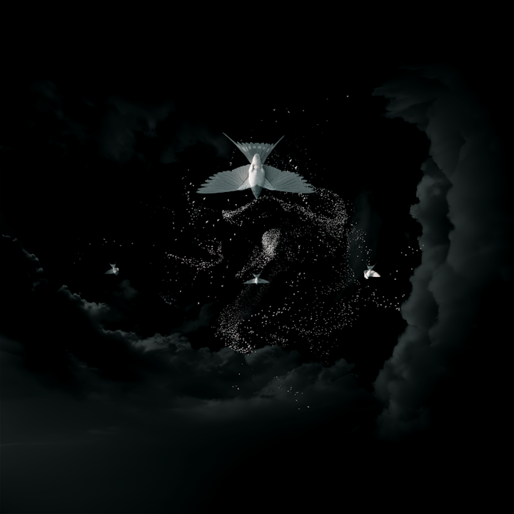 NEW_LIGHT_SET_UP -