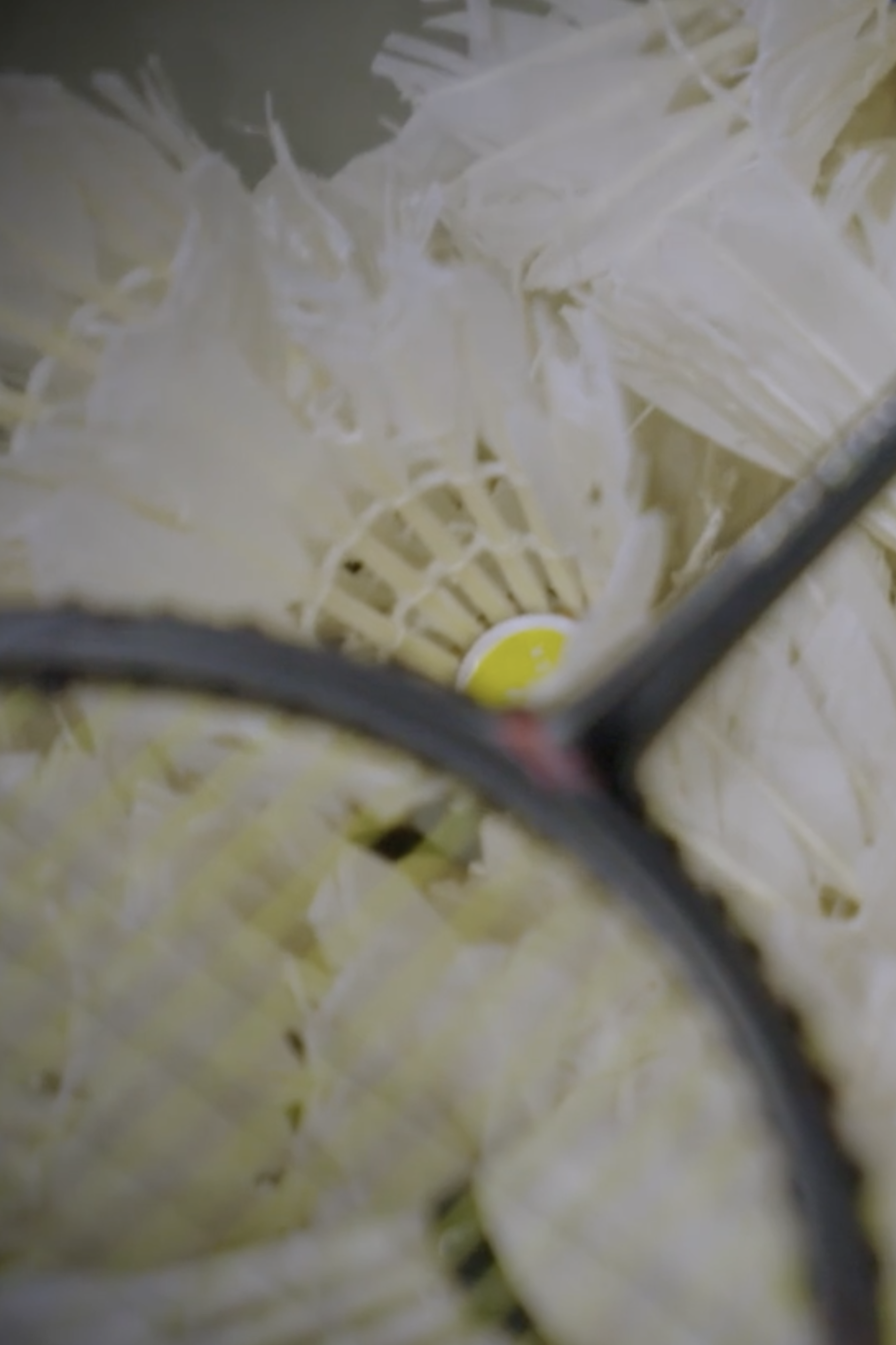 Bringing Community to Life on Film