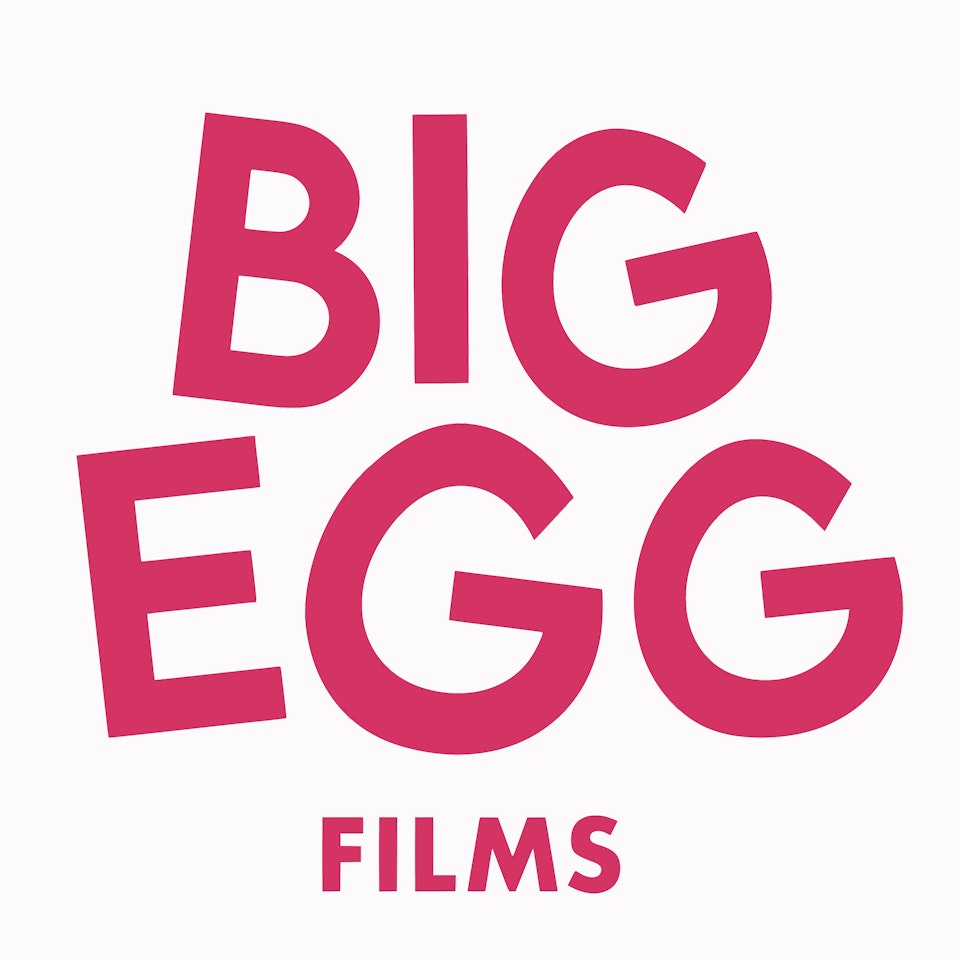 Big Egg Films - Big Egg gets a brand new shell