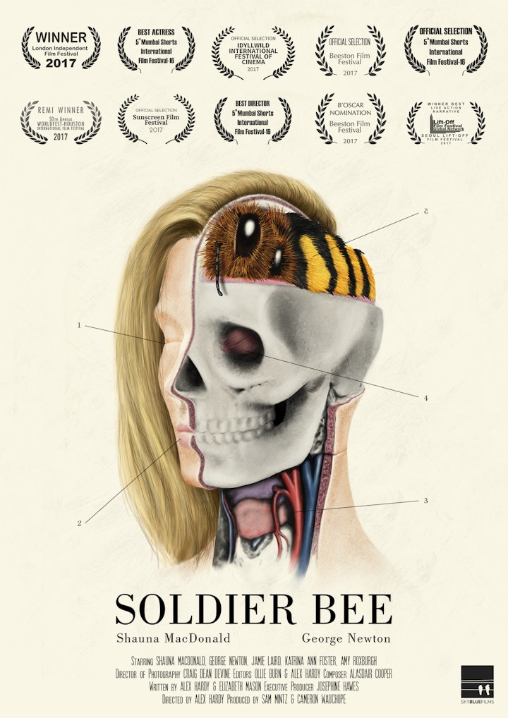 Soldier Bee (Multi-award winning short film 2016)
