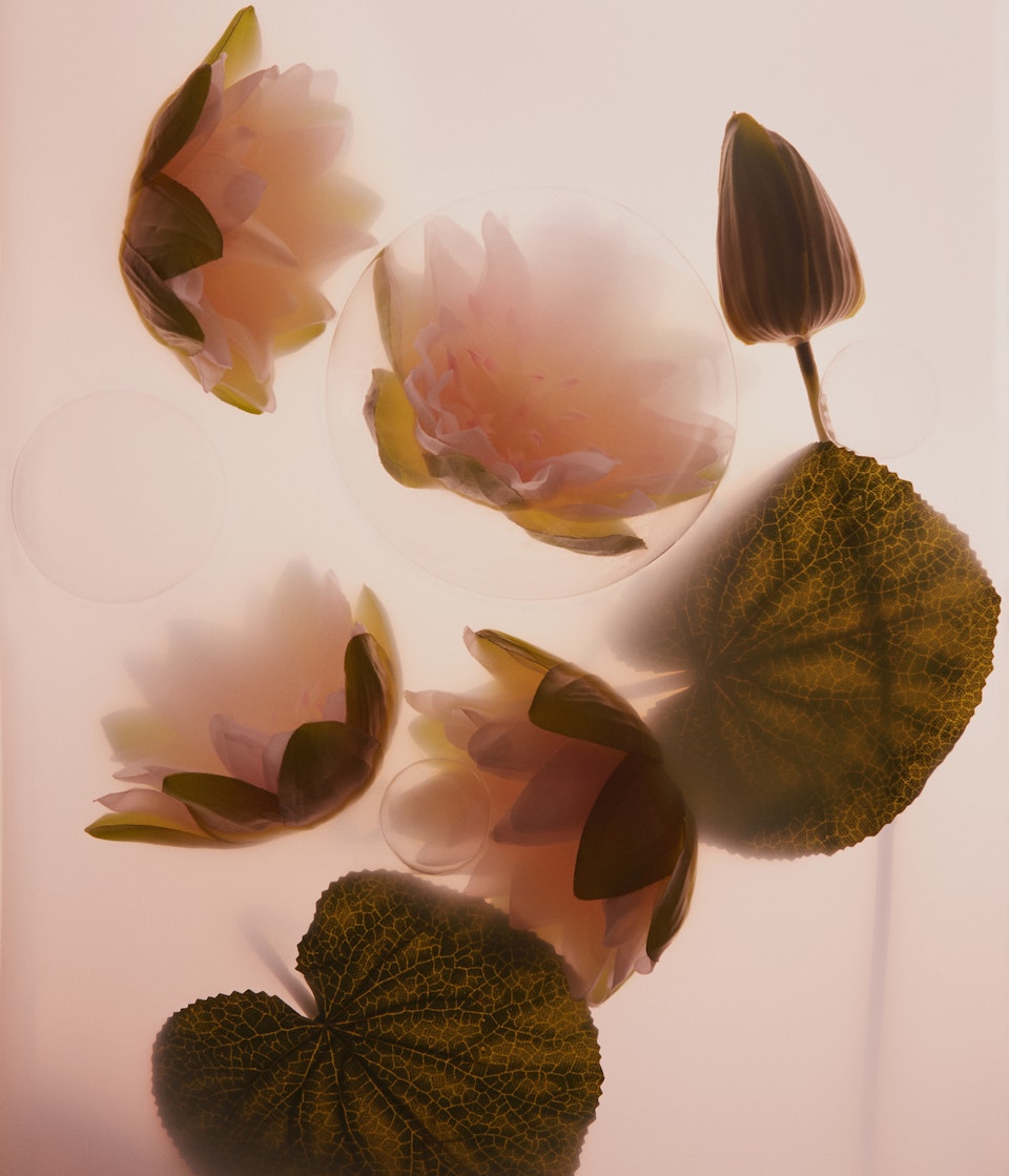 05_Lotus_Flower_017 1 -