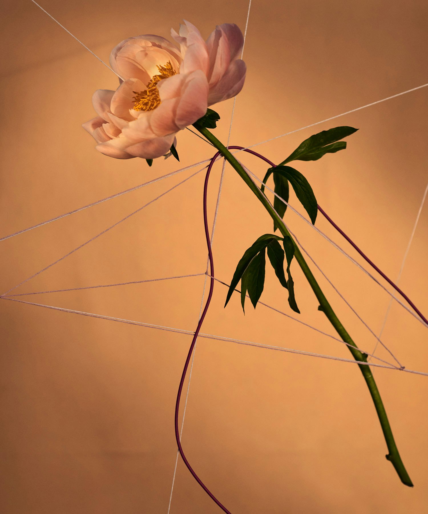 Fractal_4 -