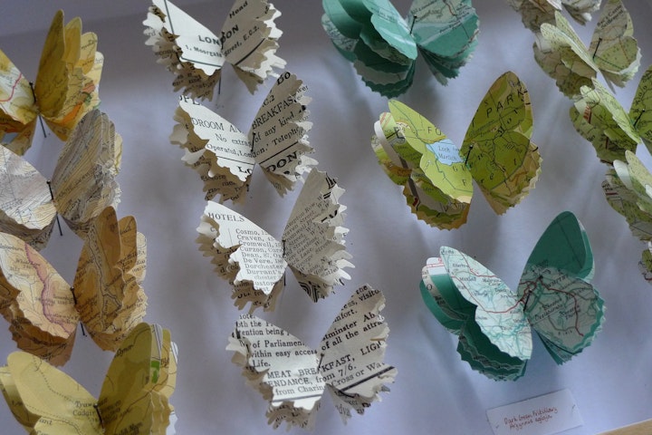 British Butterflies