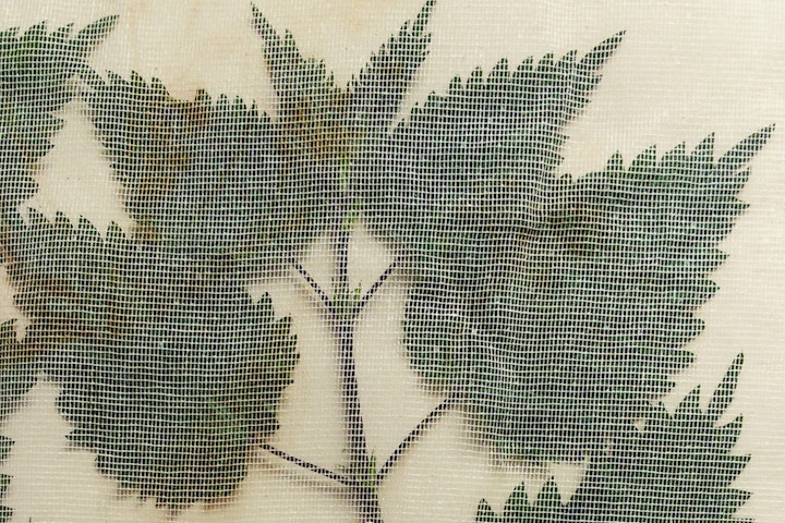Herbarium