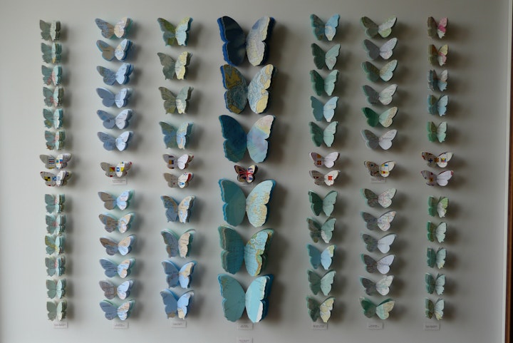 A butterfly collection onboard Britannia