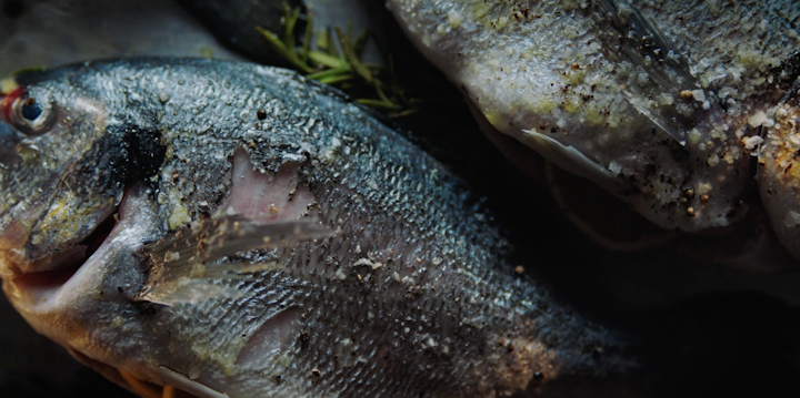 LIDL | FISH & MEAT ANTHEMS - Screenshot 2021-11-07 at 11.00.01 PM
