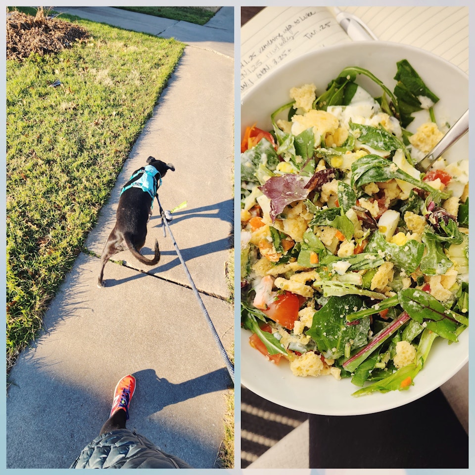 audishores - 1.26 | Walk with the dog, and made a healthy copped salad.