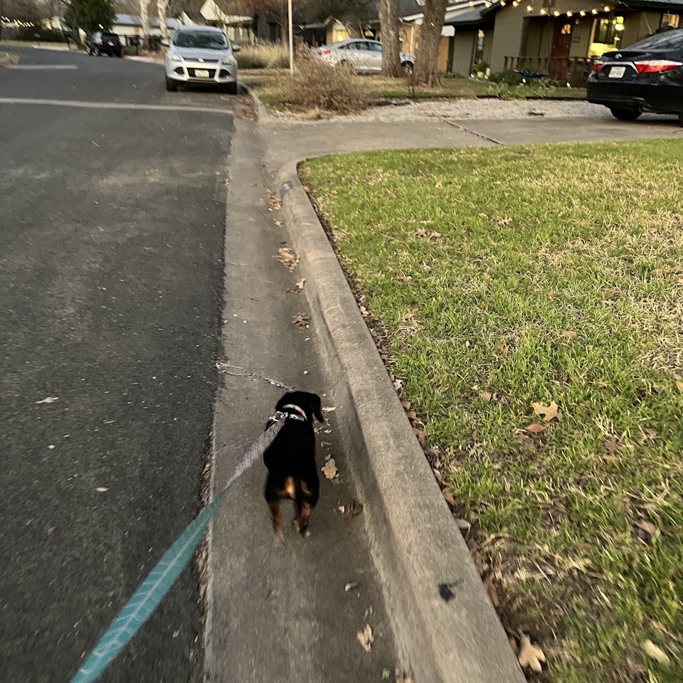audishores - 1.16 | Neighborhood walk with Walter