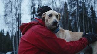 Purina - Dr. Arleigh Rynolds, Alaska