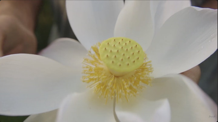 Screenshot 2024-09-17 at 1.14.50 AM -