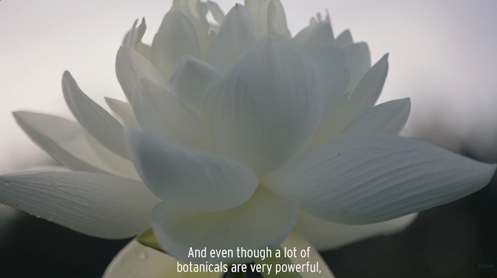 Screenshot 2024-09-17 at 1.15.26 AM -