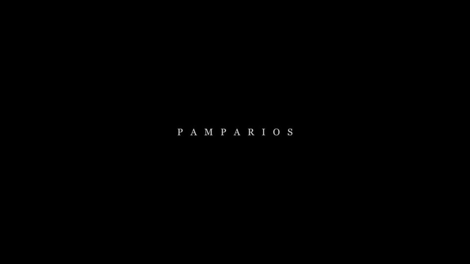 Pamparios
