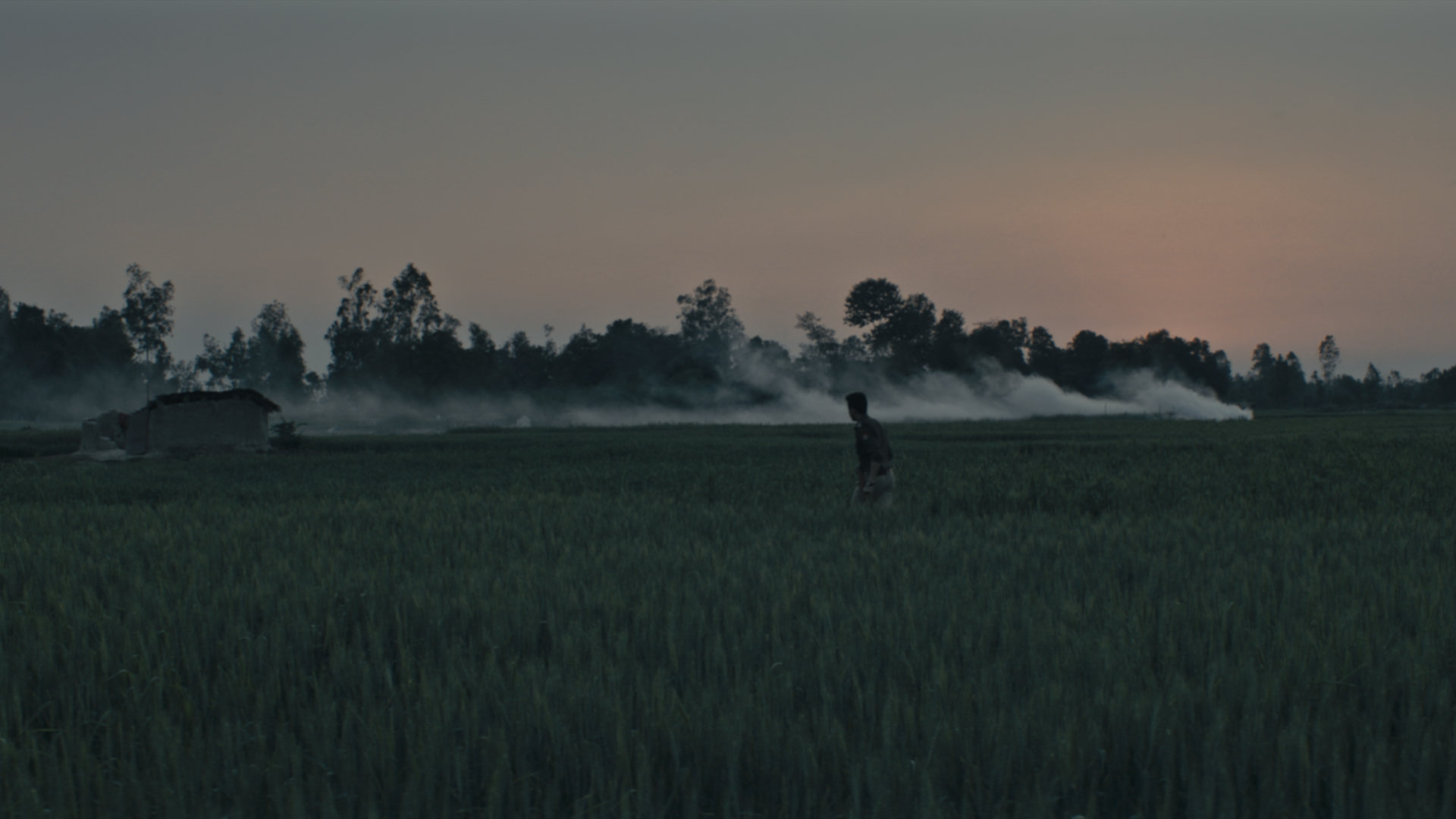 Fields 003