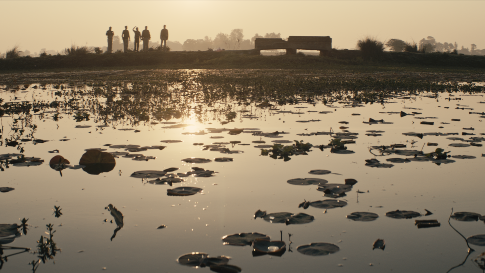 Swamp 003
