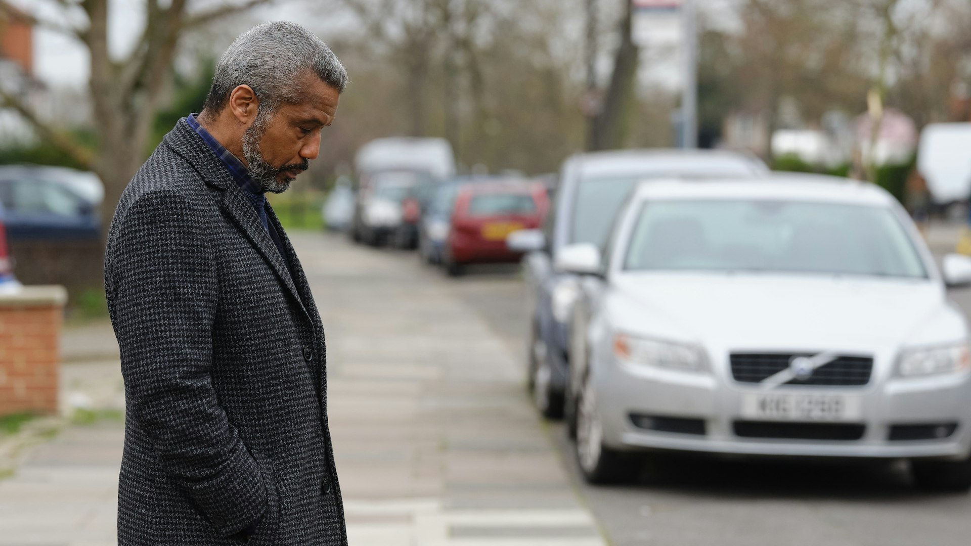 Stephen31_3_21 low DSCF5759