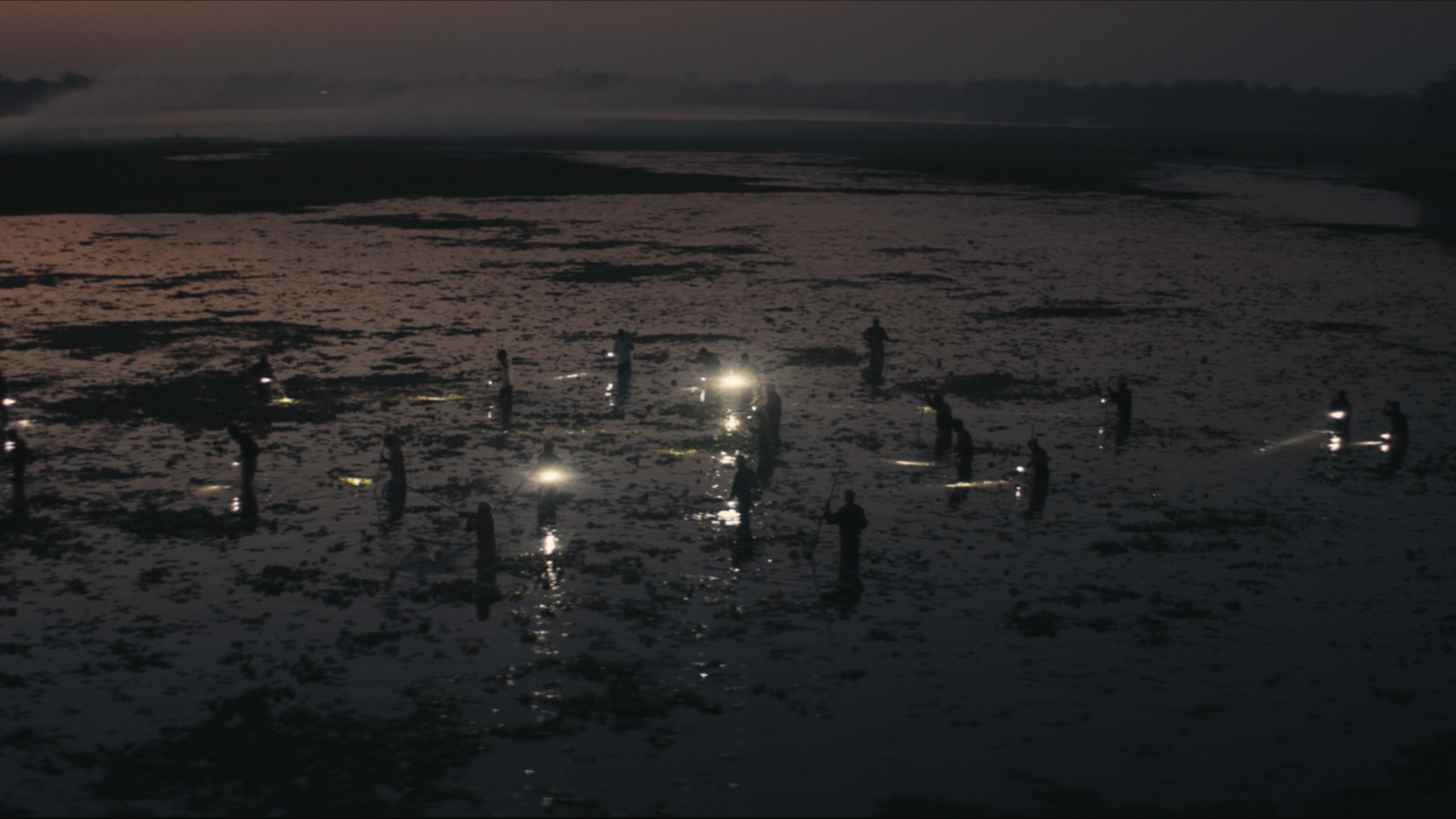 Swamp 001