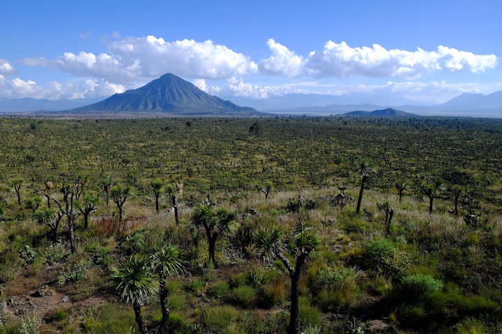 Mexico