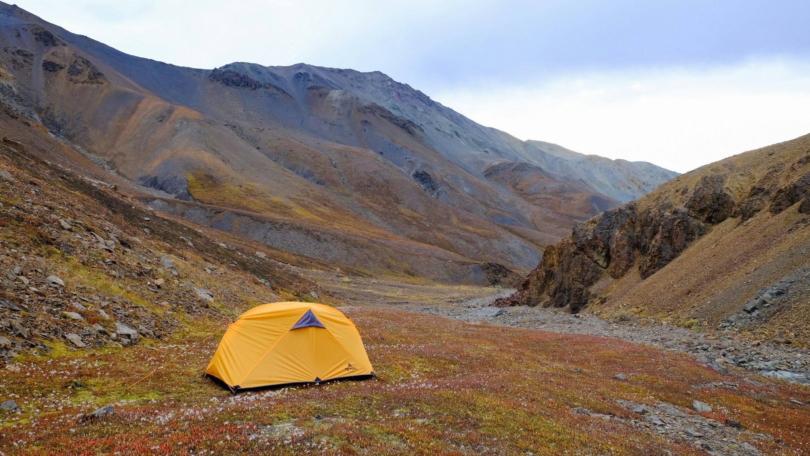 Camp Night 2 - Denali National Park