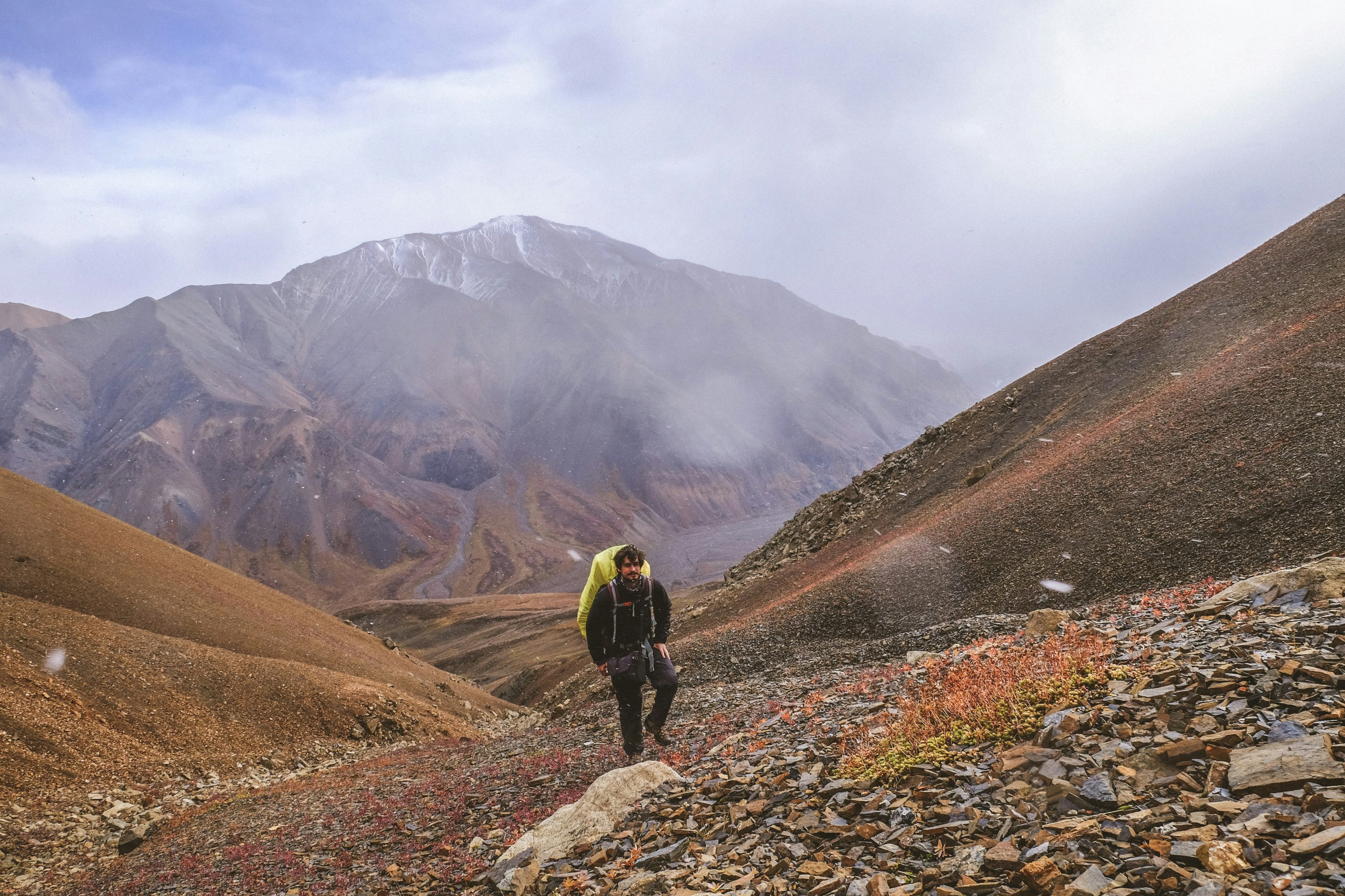 Looking back - Denali National Park