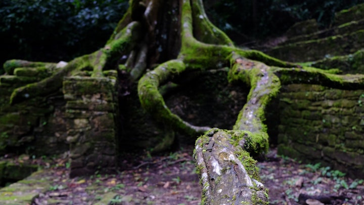 What is most important?