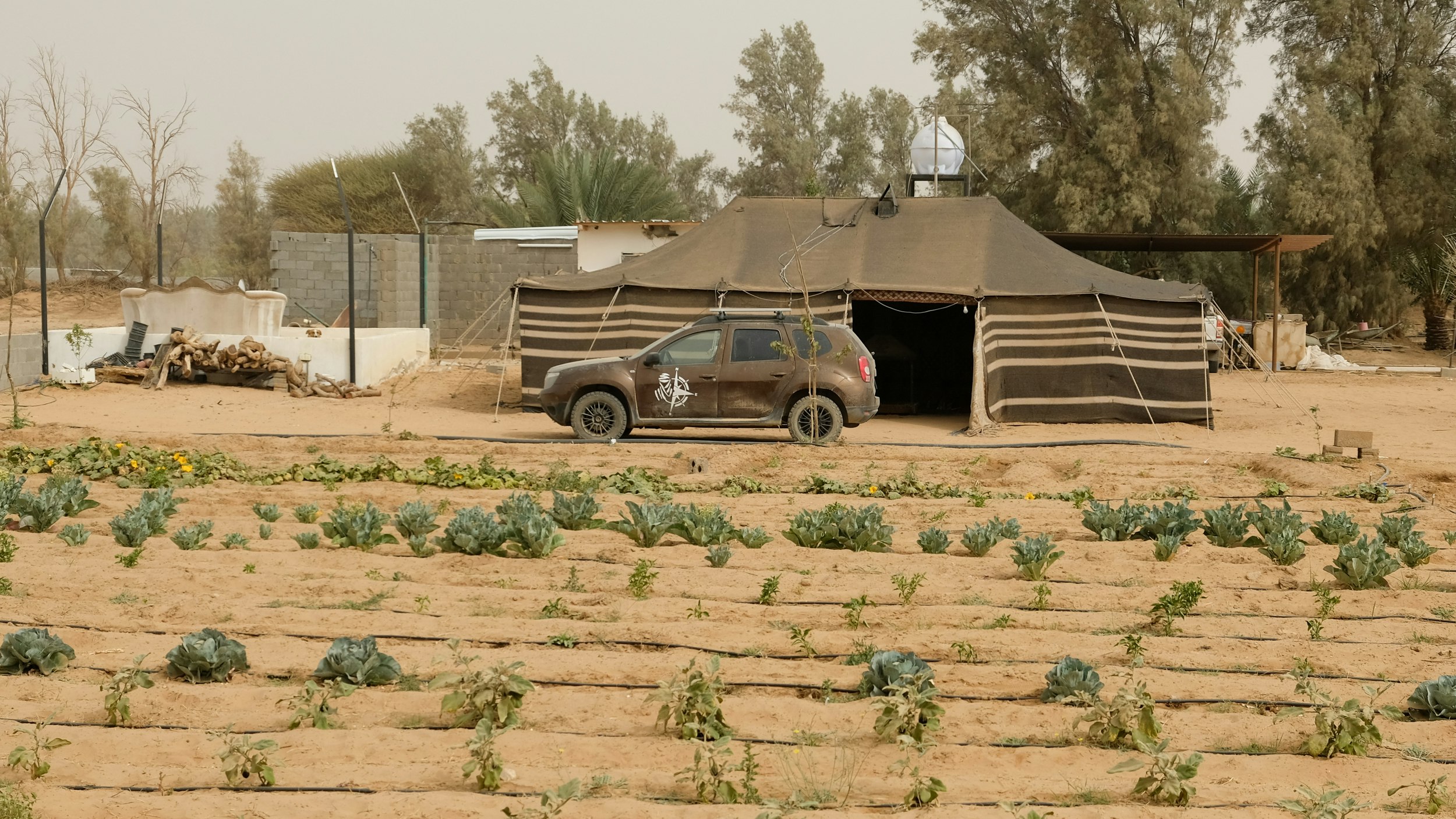 Dacia Duster parked in front of an Arab tent in Saudi Arabia