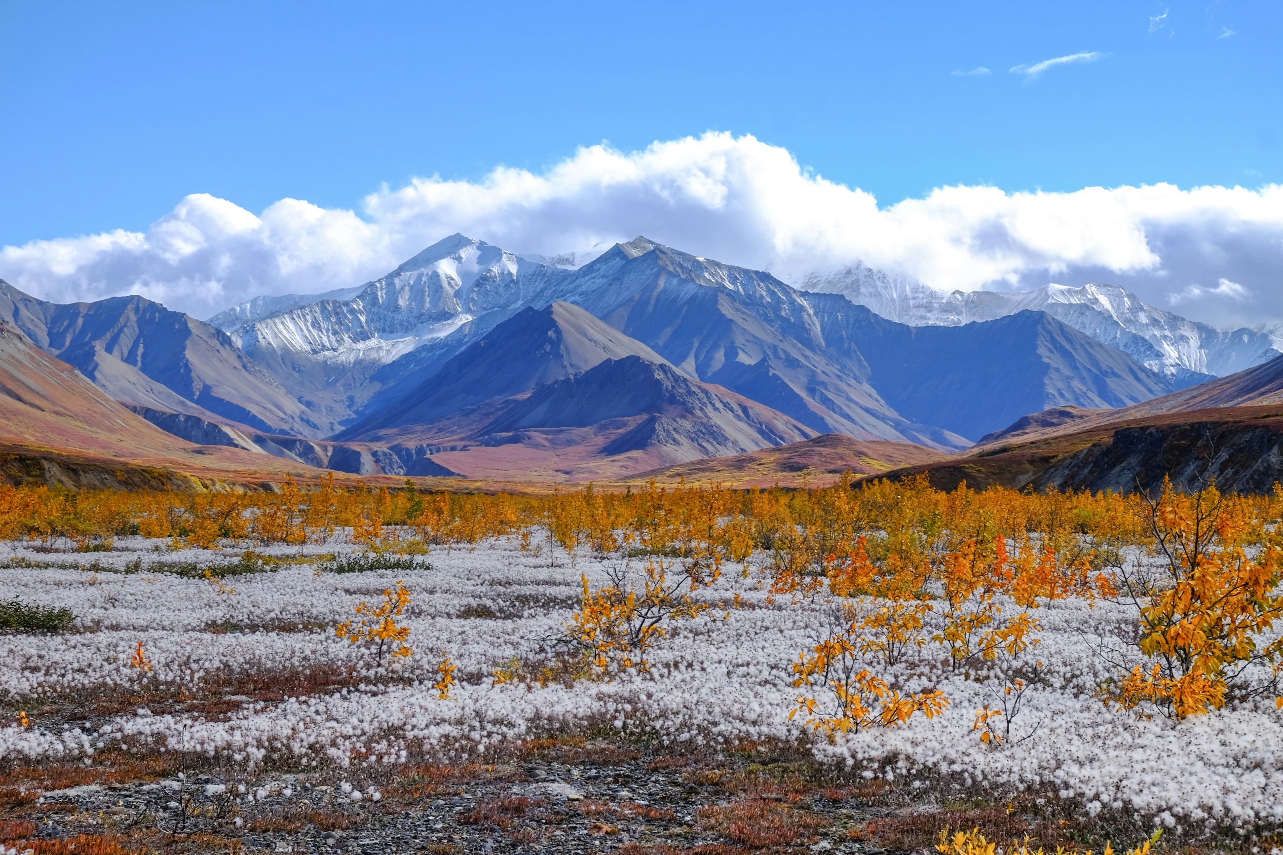 Unit 13 - Denali National Park