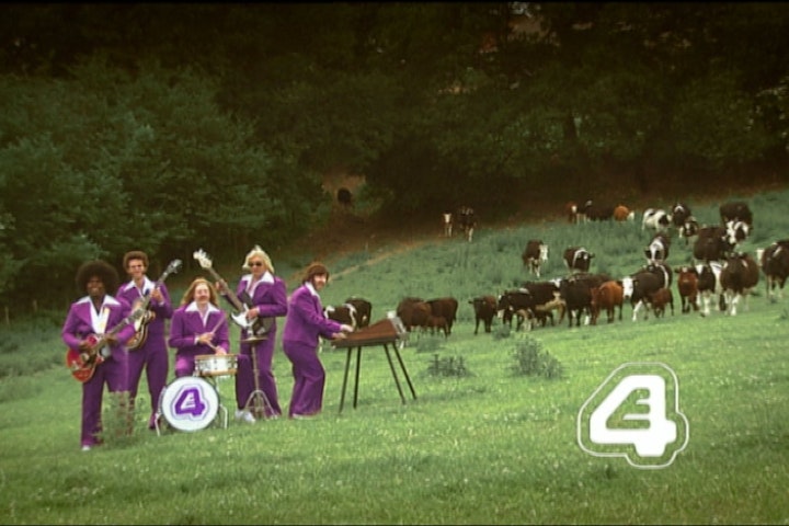 E4 Band Continuity Ident Cows