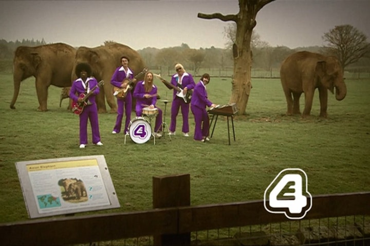 E4 Band Continuity Ident Elephants