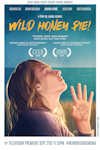 Independent Projects/Private Commissions - Poster for Jamie Adam's film, Wild Honey Pie!