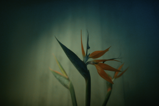 OURA - IT'S TIME TO WAKE UP