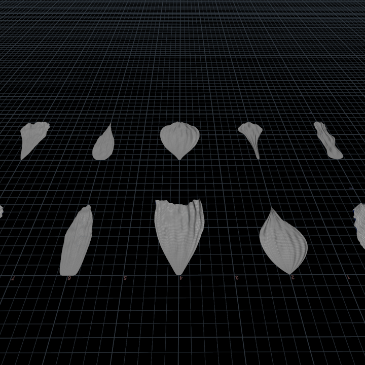 Art x Zen | Motion & Design - Part 1. Procedural Petals In Houdini (Paul Esteves process)