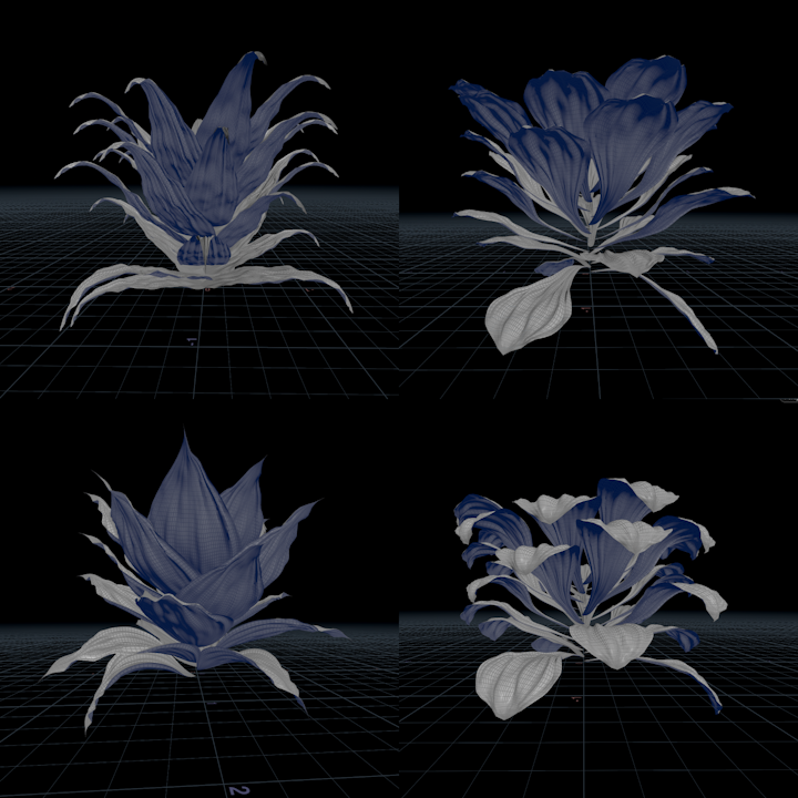 Art x Zen | Motion & Design - Part 2. Distributing Petals And Forming a Flower Shape