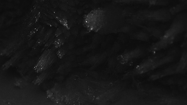 BlackIce_v011
