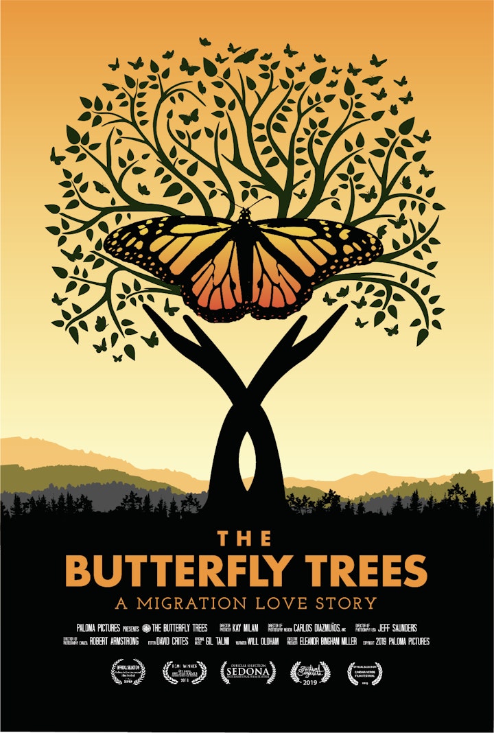 The Butterfly Trees / El Árbol de Mariposas