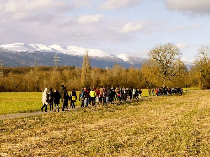 Festival Antigel 2014 & AnimaOil