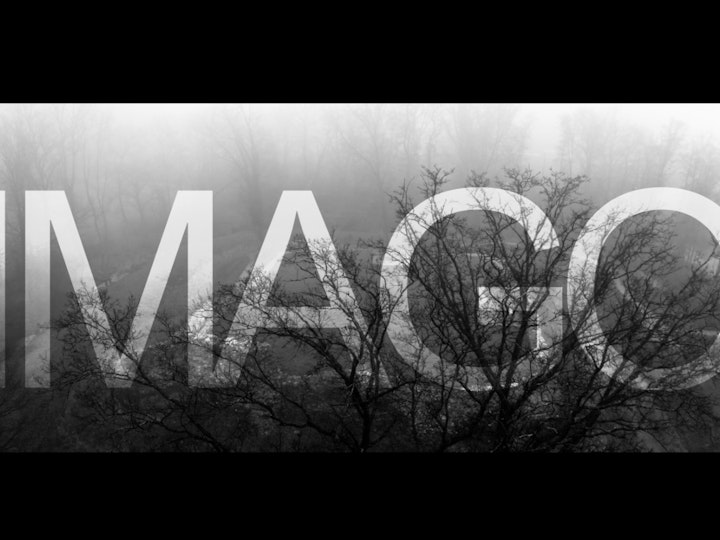 Short Films