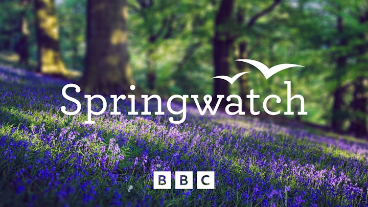 Springwatch – BBC