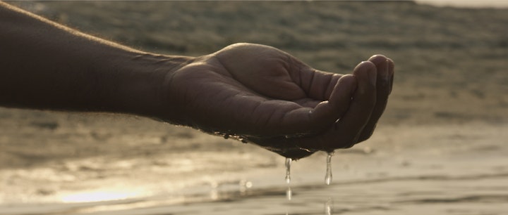 WWF INDIA SHOOT
