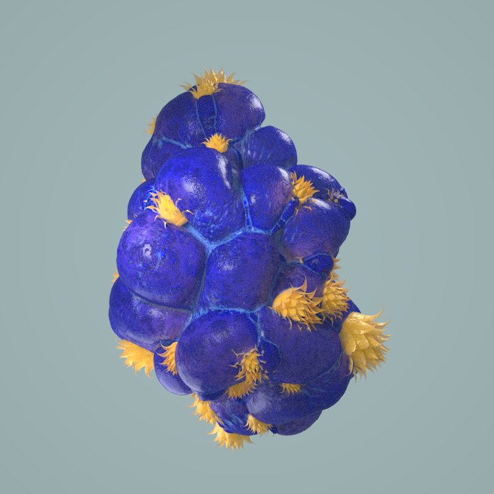 FlowerBerry