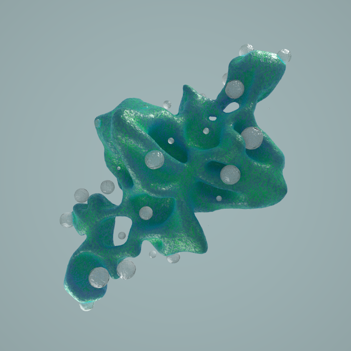 RainCoral
