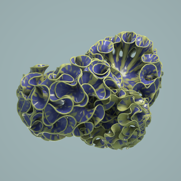 LettuceCoral