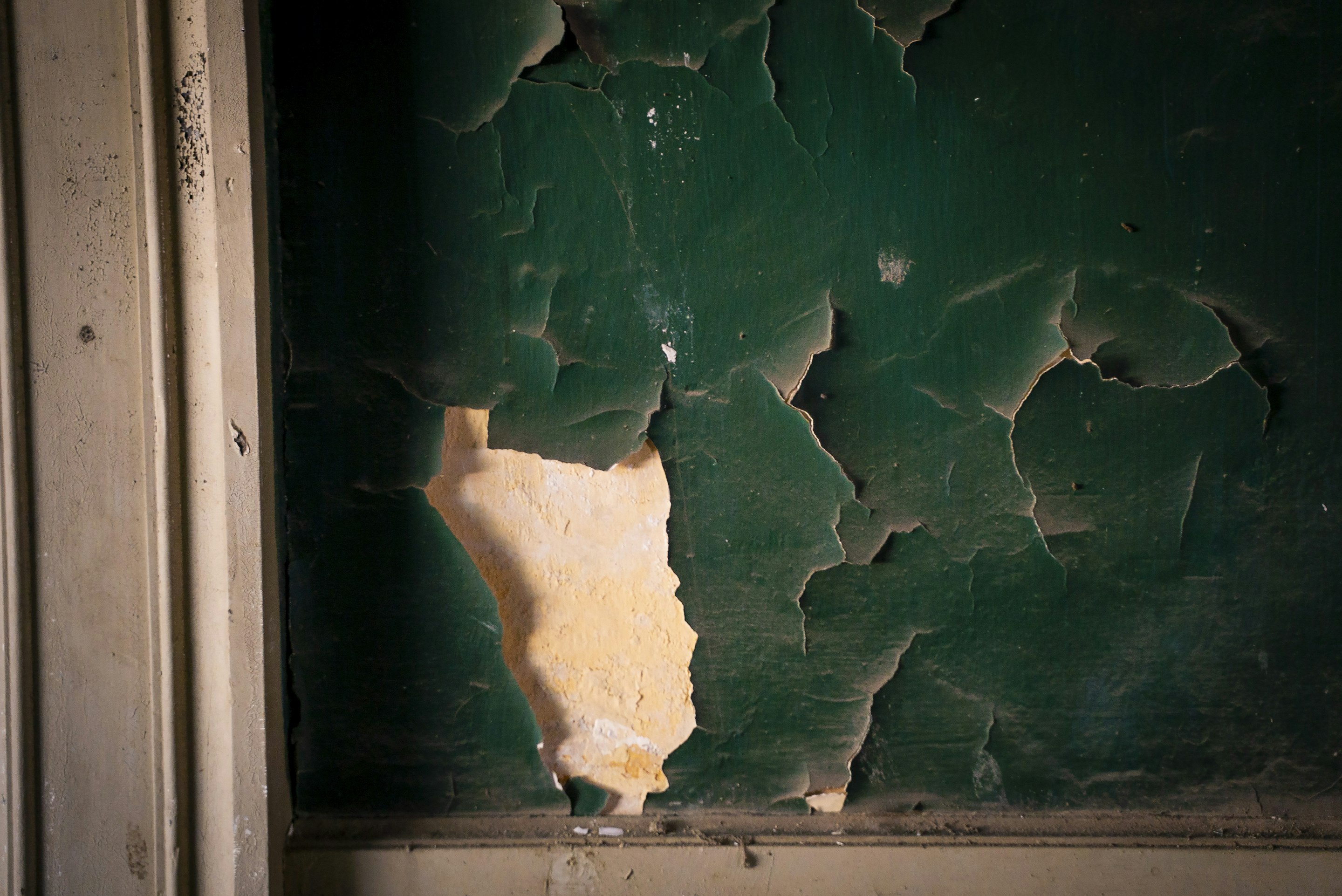_DSC1195 -