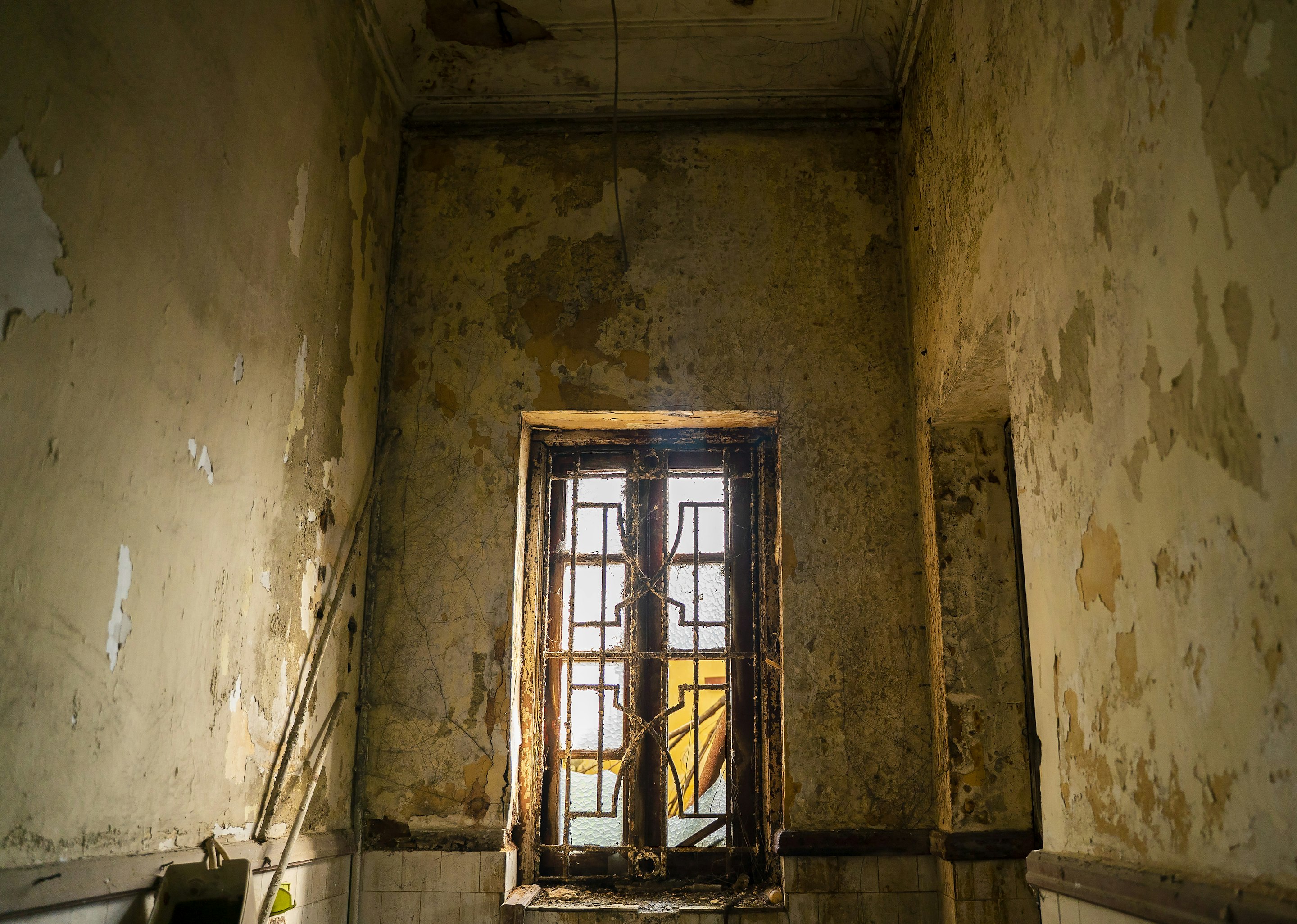 _DSC1151 -