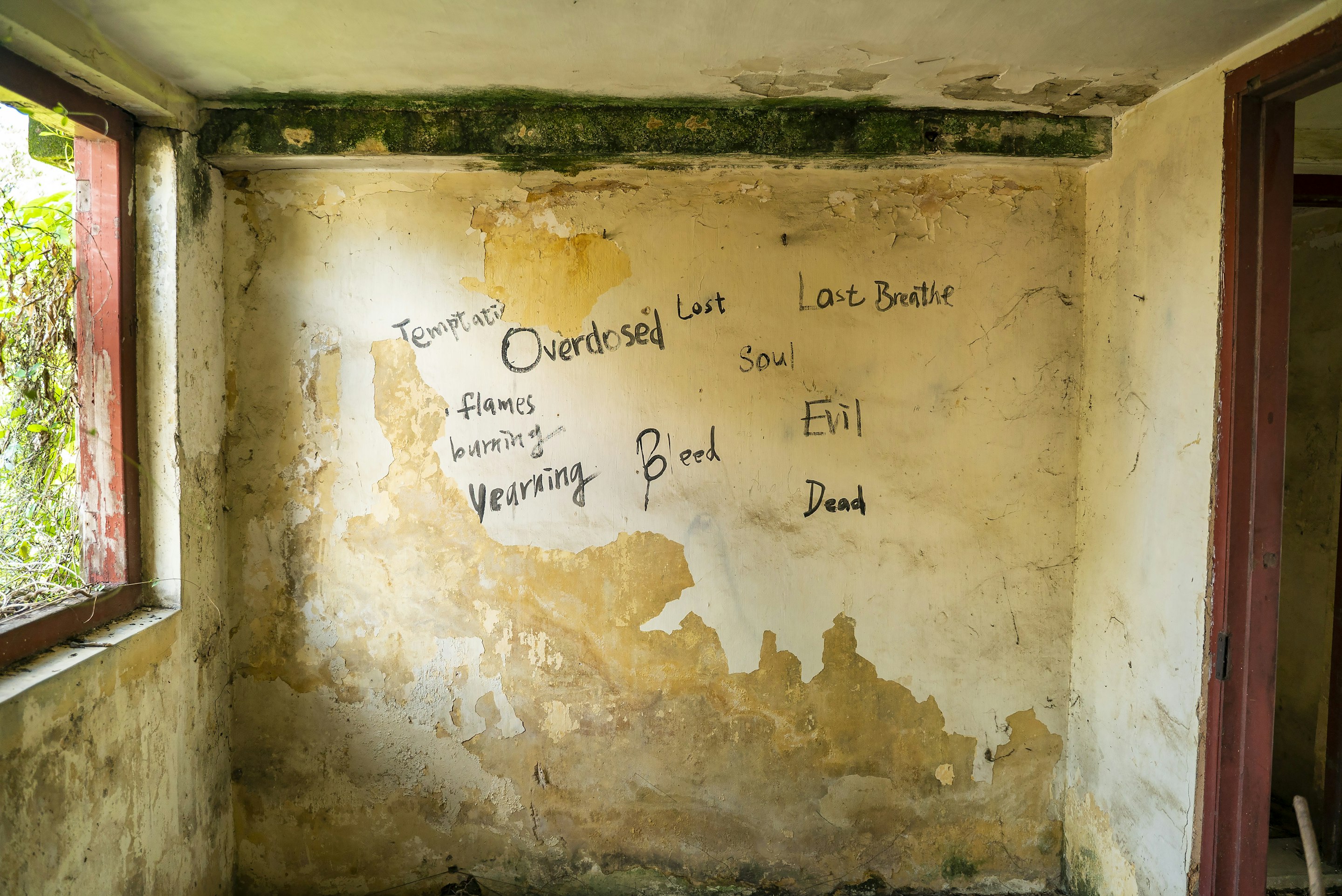 _DSC1253 -