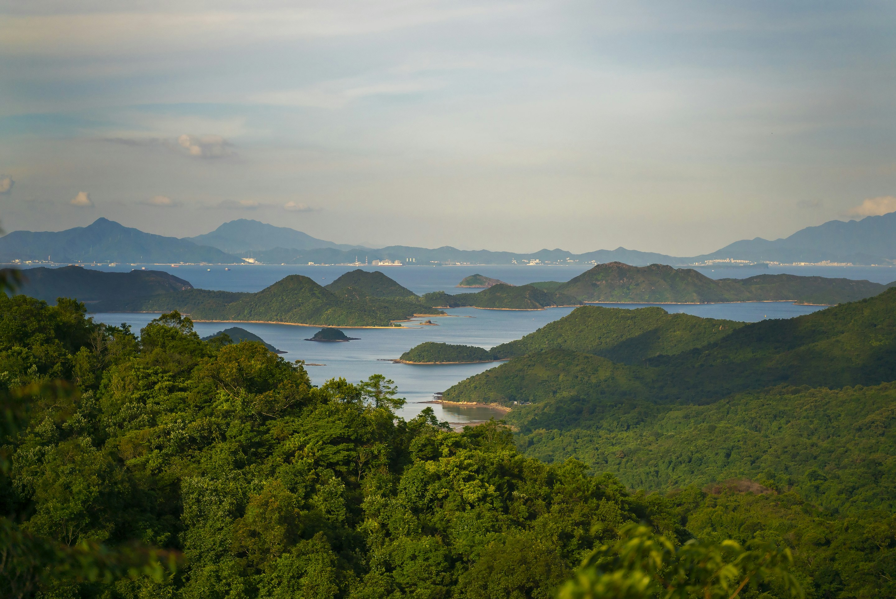 _DSC1564 -