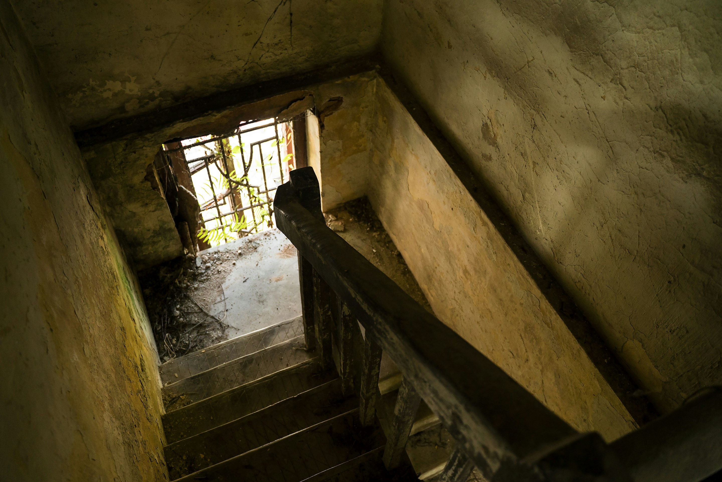 _DSC1273 -